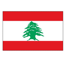 Load image into Gallery viewer, National Flag America Emblem Iron Patch Embroidery Backpack Country All World