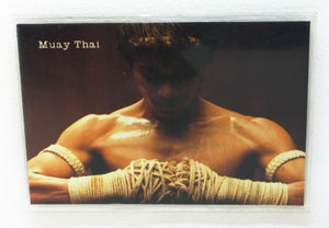 Magnet Muay Thai Boxing Poster funny joke pic Fridge Collectible Decor