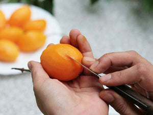 Thai Tool Kitchen Mini Knife Extract Fruit Vegetable Vintage Stainless Steel V.8