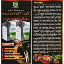 Load image into Gallery viewer, Khaolaor Krachaidum Plus Thai Black Ginger L-Arginine Dietary Supplement 60 Caps