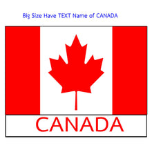 Load image into Gallery viewer, National Flag America Emblem Iron Patch Embroidery Backpack Country All World