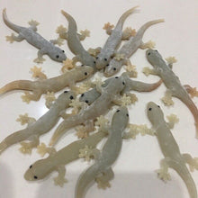 Load image into Gallery viewer, 12x Fake Realistic Rubber Lizard Reptile Animal Toy Free ship with Track