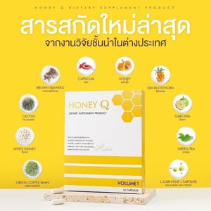 9x Honey Q Volume 1 Food Supplement Block Slimming Weight Control Diet Burn