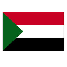 Load image into Gallery viewer, National Flag America Emblem Iron Patch Embroidery Backpack Country All World