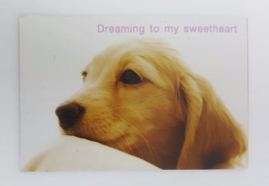DREAM SWEETHEART funny joke pic Design Vintage Poster Magnet Fridge Collectible