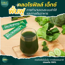 Load image into Gallery viewer, 3x MINE Chlorophyll X Detoxification Detox Intestines Cleansing Fat Glowing Skin