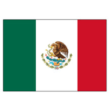 Load image into Gallery viewer, National Flag America Emblem Iron Patch Embroidery Backpack Country All World