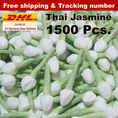 1500x Thai Jasmine Tissue Paper Flower Handcrafts Artificial Home Arts DIY