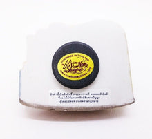 Load image into Gallery viewer, Vatican Saint Peter's Basilica 3D resin Magnet Handmade in Thailand Collectibles