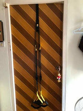 Load image into Gallery viewer, TRX Suspension Training Pro P1 Standard Resistance Exercise Home Fitness &amp; DVD