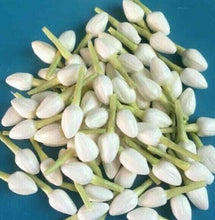 Load image into Gallery viewer, 600 x Thai Jasmine Tissue Paper Flower Handcrafts Artificial Home Arts DIY