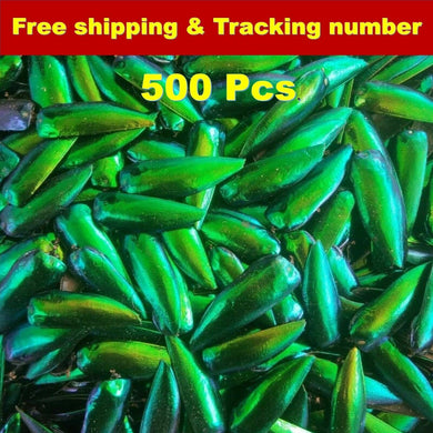 500x Wing Green Jewel Beetle Natural Jewelry Carft Real Desing Insect Handmade