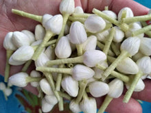 Load image into Gallery viewer, 600 x Thai Jasmine Tissue Paper Flower Handcrafts Artificial Home Arts DIY