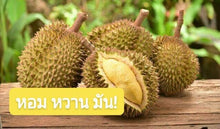 Load image into Gallery viewer, 10x Monthong Durian Paste Thai Snack Food Delicious durian tastedurian food 100g