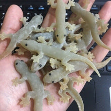 Load image into Gallery viewer, 12x Fake Realistic Rubber Lizard Reptile Animal Toy Free ship with Track