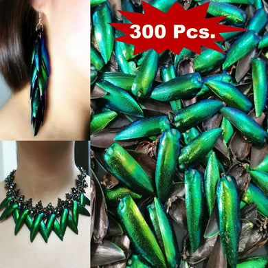 300x Green Natural Jewelry Craft Real Design Insect Elytra Jewel Beetle Wing VTG