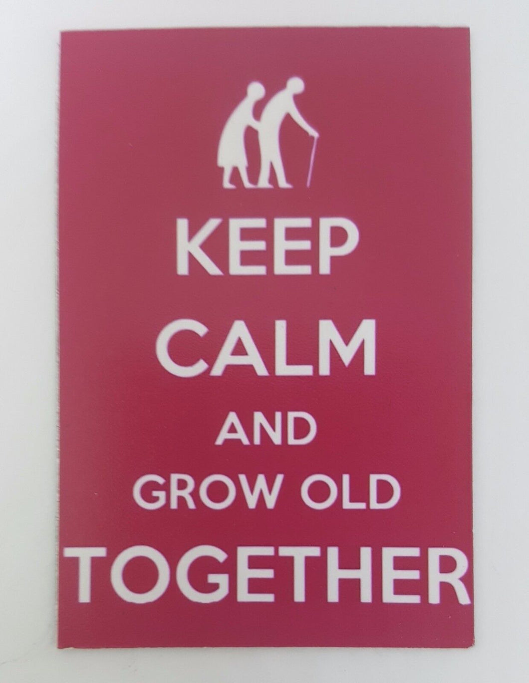 GROW OLD TOGETHER funny joke pic Design Vintage Poster Magnet Fridge Collectible