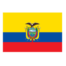 Load image into Gallery viewer, National Flag America Emblem Iron Patch Embroidery Backpack Country All World