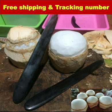 Knife Open Coconut Tool Meat Romover Buffalo Horn Handle Opener Gadget Remove