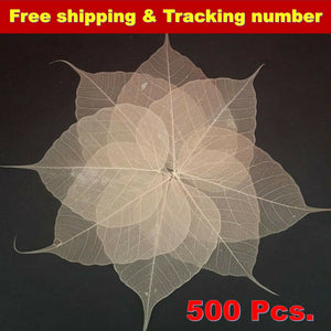 500x Skeleton Natural Leaves Rubber Ficus Craft Scrapbook Card Wedding DIY