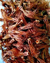 Load image into Gallery viewer, Dried Red Cotton Tree Flowers Bombax Dok Ngeaw Northern Thai Food Herb 100g
