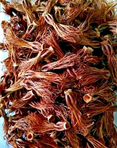 Dried Red Cotton Tree Flowers Bombax Dok Ngeaw Northern Thai Food Herb 100g