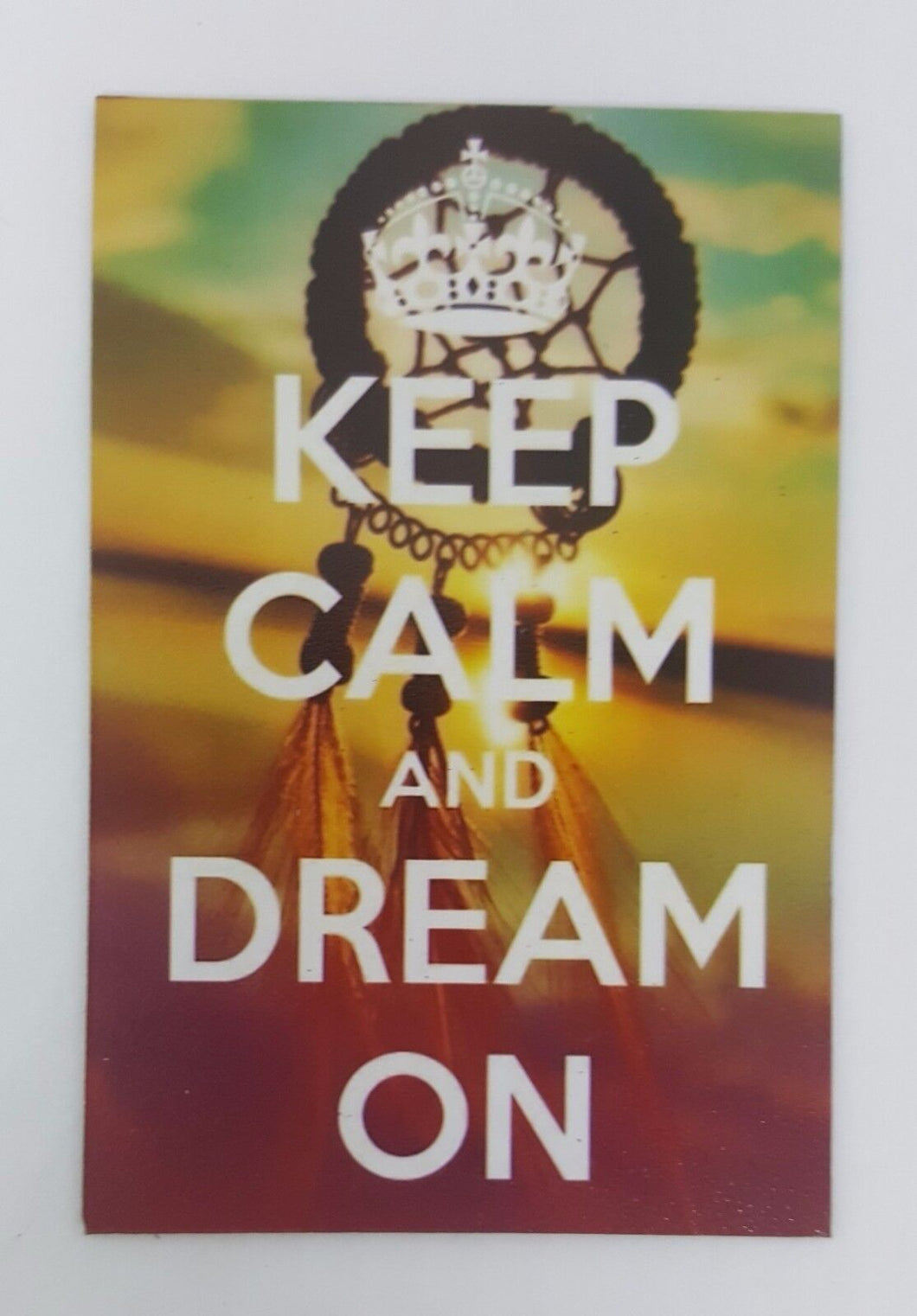 DREAM ON funny joke pic Design Vintage Poster Magnet Fridge Collectible