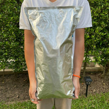 Load image into Gallery viewer, Jackfruit Freeze Dried 100% Natural Thailand Fruit Halal Snack Party Delicious