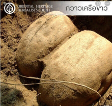 Load image into Gallery viewer, 24x Mirifica Extract Nanotechnology Enlarged Breast And Face Skin Firming 20 ml