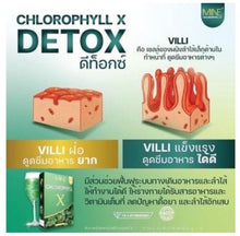 Load image into Gallery viewer, 12x Detox Cleanse Colon Powder Weight Control Management Supplement Antioxidant