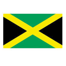 Load image into Gallery viewer, National Flag America Emblem Iron Patch Embroidery Backpack Country All World