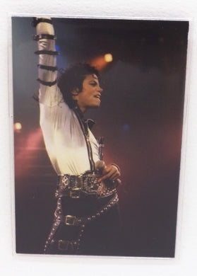 Magnet Michael Jackson King Of Pop Poster funny joke pic Fridge Collectible 3