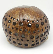 Load image into Gallery viewer, Coconut Shell Hanging Plant Natural Pot Outdoor Garden Home Decor Hanger (2Pcs)