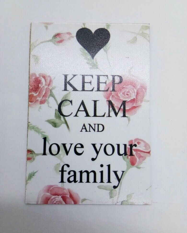 LOVE YOUR FAMILY funny joke pic Design Vintage Poster Magnet Fridge Collectible