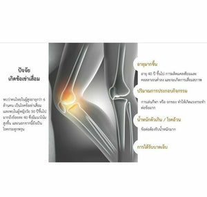 3x COLLAKENKO Plus CK Fish Collagen Peptide Knee Bone Osteoarthritis Nourish