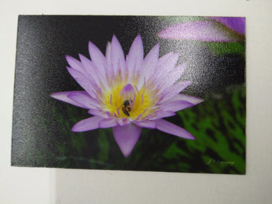 LOTUS PINK pic Design Vintage Poster Magnet Fridge Collectibles Home