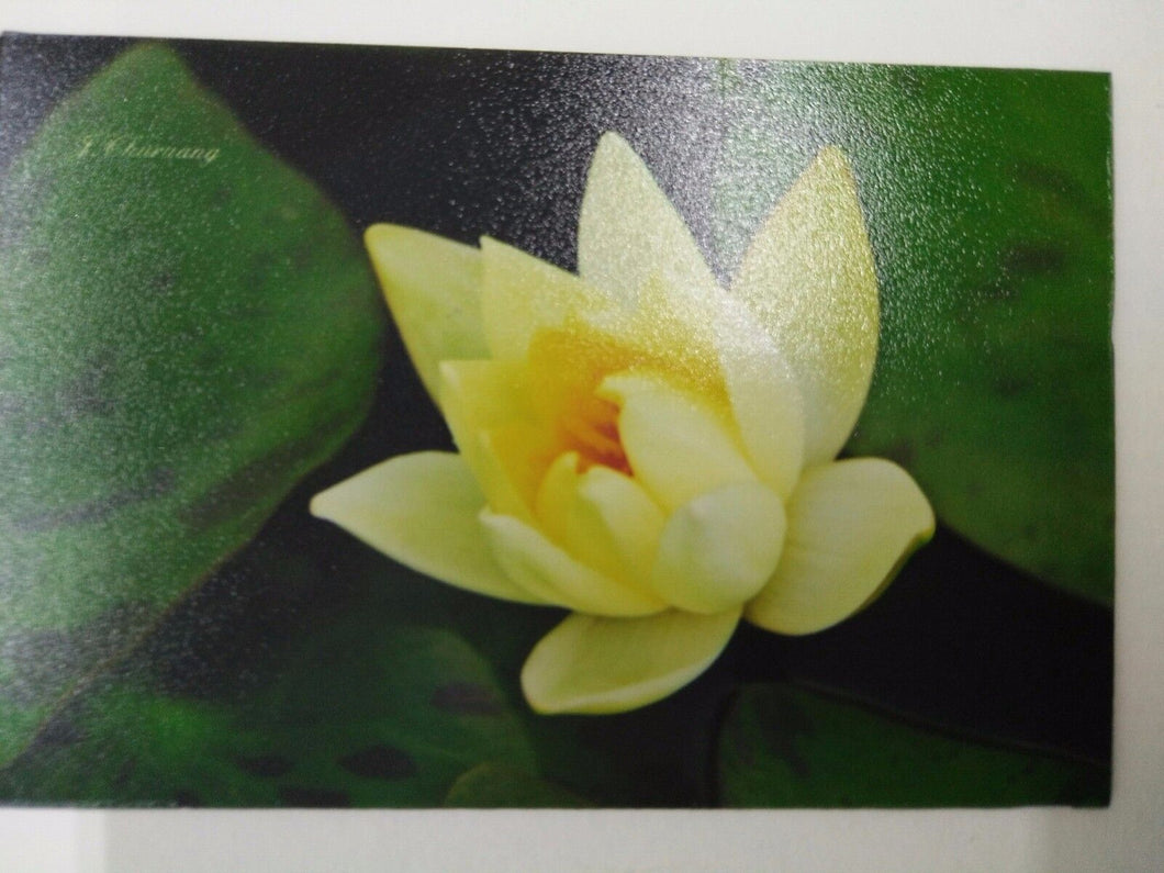 LOTUS YELLOW pic Design Vintage Poster Magnet Fridge Collectibles Home