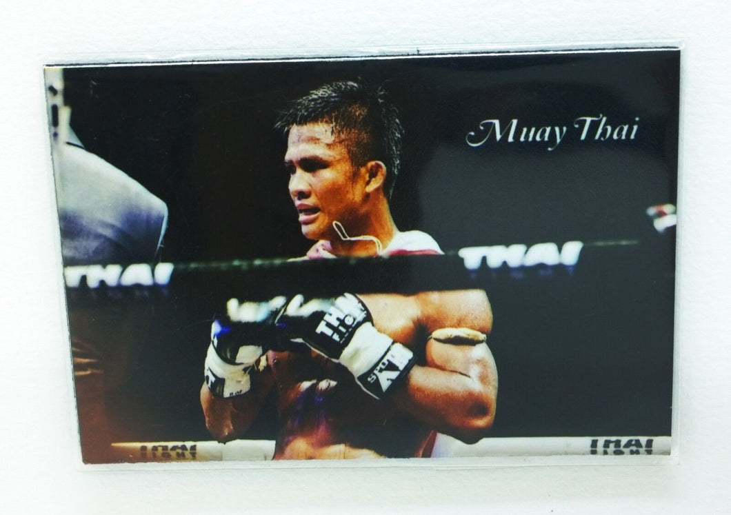 Magnet Muay Thai Boxing Poster funny joke pic Fridge Collectible Decor 2