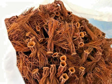Load image into Gallery viewer, Dried Red Cotton Tree Flowers Bombax Dok Ngeaw Northern Thai Food Herb 100g