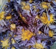 Load image into Gallery viewer, 250 g Blue Lotus Dried Flower Tea Sacred Nymphaea Caerulea Healthy Relax