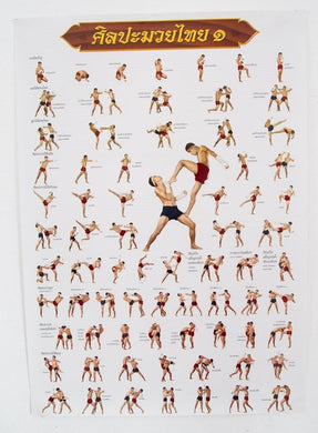 Muay Thai Boxing Poster Training Chart Martial Arts Tactic Skills Teaching Print