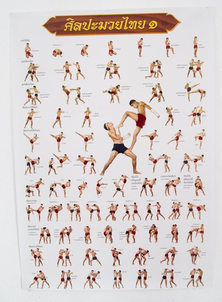 Muay Thai Boxing Poster Training Chart Martial Arts Tactic Skills Teaching Print
