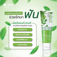 Load image into Gallery viewer, 6x D.Dent Herbal Toothpaste Peppermint Formula Fluoride Fresh Breath Sensitive