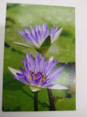 LOTUS VIOLET pic Design Vintage Poster Magnet Fridge Collectibles Home