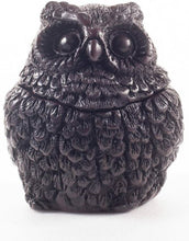 Load image into Gallery viewer, Owl Figurine Vintage Ashtray Resin Ash Holder Lid Cigarette Gift Decor Bird
