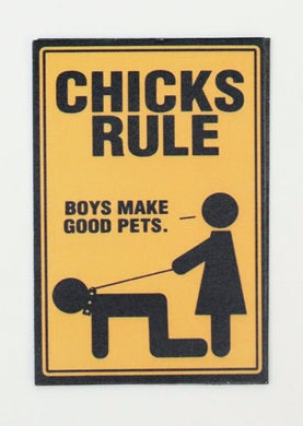 RULE CHICKS pic Design Vintage Poster Magnet Fridge Collectibles Home