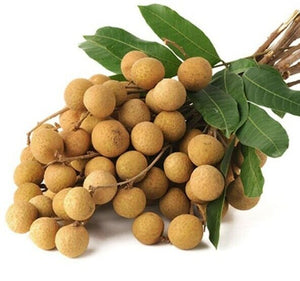 Longan Cream Seed Extract Muscle Pain Thai Herbal Massage Osteoarthriti (5x120g)
