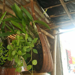 6x Woven Basket Planter Decor Orchid Flower Hanging Pot Bamboo Basket Garden
