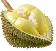 Load image into Gallery viewer, 10x Durian Powder Baking Dried Freeze Cake Drink Bingsu Desserts 50g