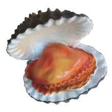 Load image into Gallery viewer, Magnet 3D Fridge Thai Foods Yummy delicious Home Decor Set Shape Magnetic Food